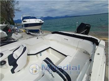 Sea Ray SPX 210 OUTBOARD