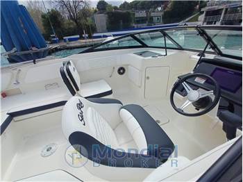 Sea Ray SPX 210 OUTBOARD