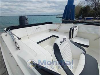 Sea Ray SPX 210 OUTBOARD