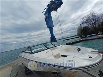 Sea Ray SPX 210 OUTBOARD