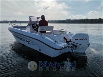 Ranieri International 4XC Design H19CC