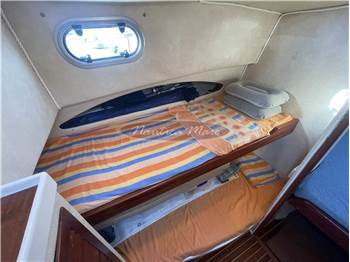 Plastik Space 310 Cruise