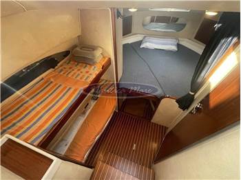 Plastik Space 310 Cruise