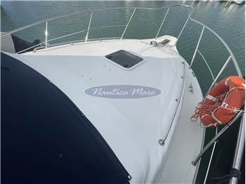 Plastik Space 310 Cruise