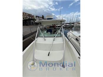 Boston Whaler 290 Outrage