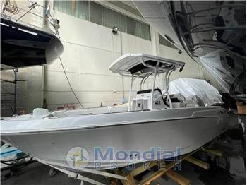 Wellcraft Marine 222 fisherman