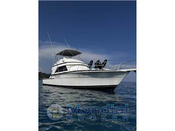 Bertram Yacht 43' Convertible