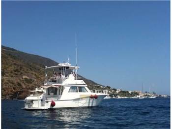 Viking Yachts 43' Convertible