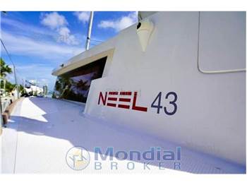Neel 43