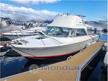 Riva bertram 25 sport fisherman