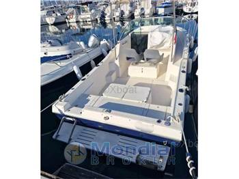 Kelt White shark 237