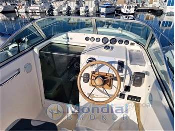 Kelt White shark 237