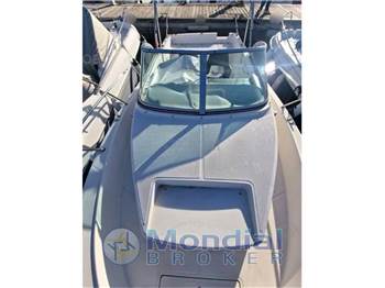 Kelt White shark 237