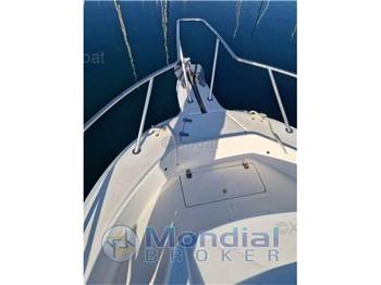 Kelt White shark 237