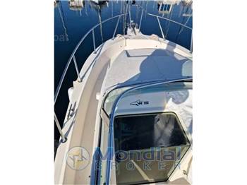 Kelt White shark 237