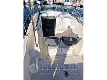 Kelt White shark 237