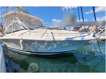 Luhrs 28