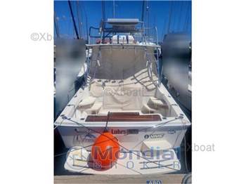 Luhrs 28