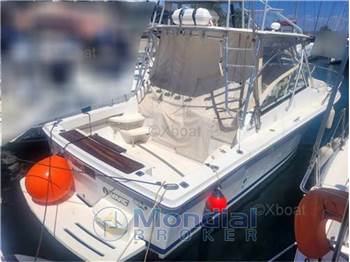 Luhrs 28