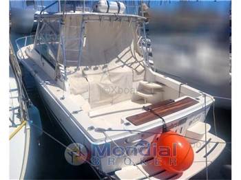 Luhrs 28