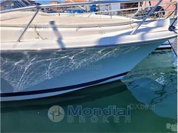 Luhrs 28