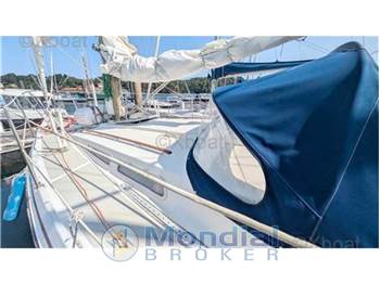 Conyplex Contest 36 cc ketch