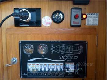 Delphia 29