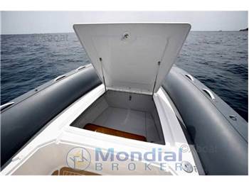 Salpa 26 soleil