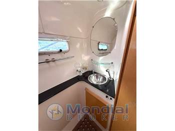 Alliaura Privilege 495