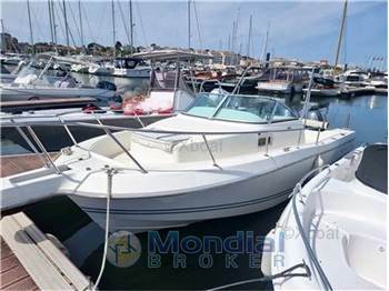 Kelt White shark 236