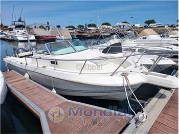 Kelt White shark 236