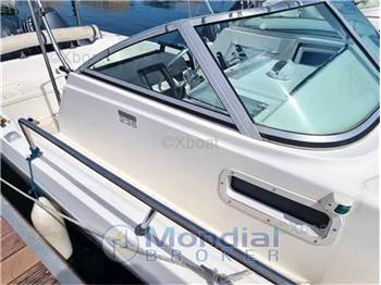 Kelt White shark 236