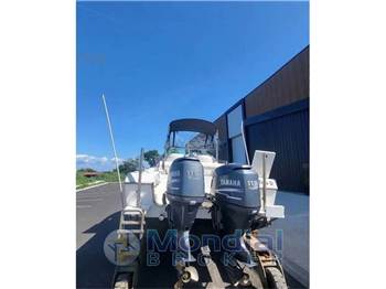 Kelt White shark 236