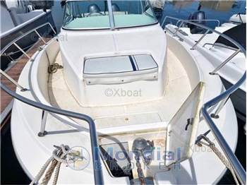 Kelt White shark 236