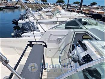 Kelt White shark 236