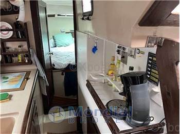 Playvisa Coronado 35 cc