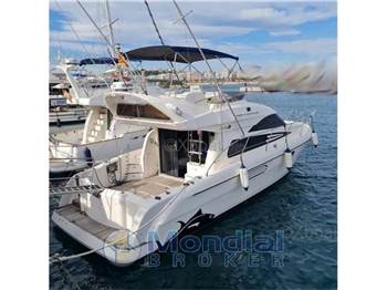 Astondoa 39 fly