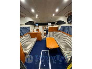 Astondoa 39 fly