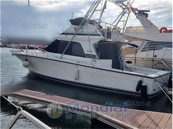 Blackfin 38 convertible