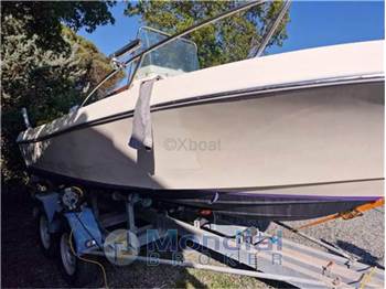 Kelt White shark 175