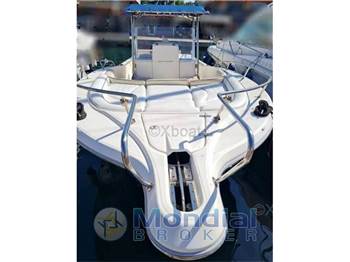 White shark 285