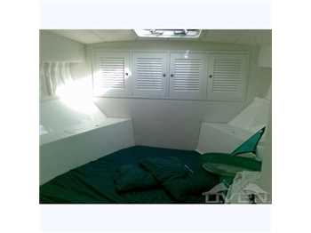 Magnum marine 40' sport