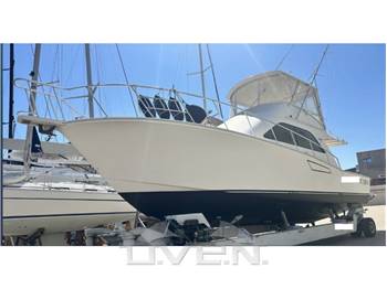 Cabo Yacht 43