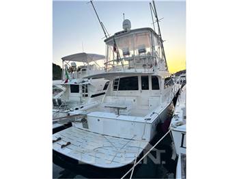 Cabo Yacht 43