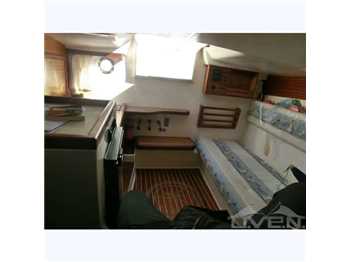 Ingenito  Gozzo open 7.80