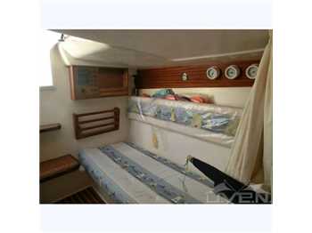 Ingenito  Gozzo open 7.80