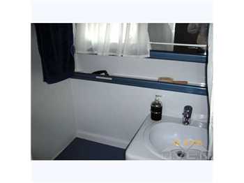 Italcraft C51' open