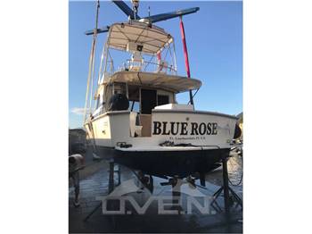 Bertram 35 35 convertible fly