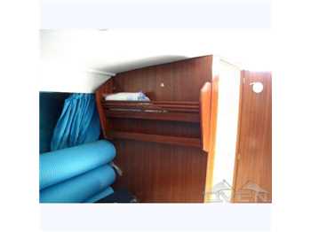 Abbate bruno Primatist 30