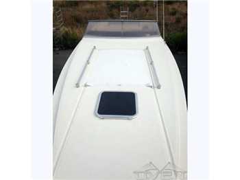 Cigala e bertinetti Champion 41